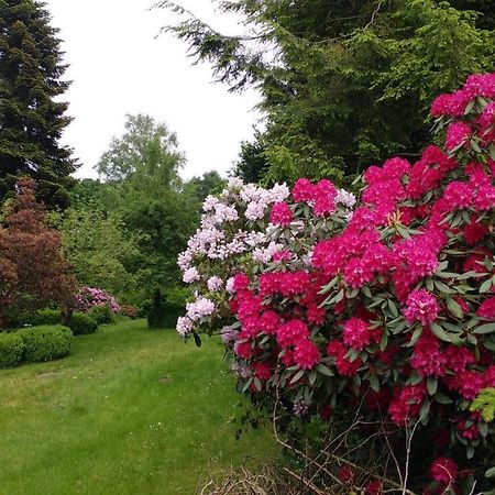 Ferienwohnung Gartenblick Worpswede Eksteriør billede